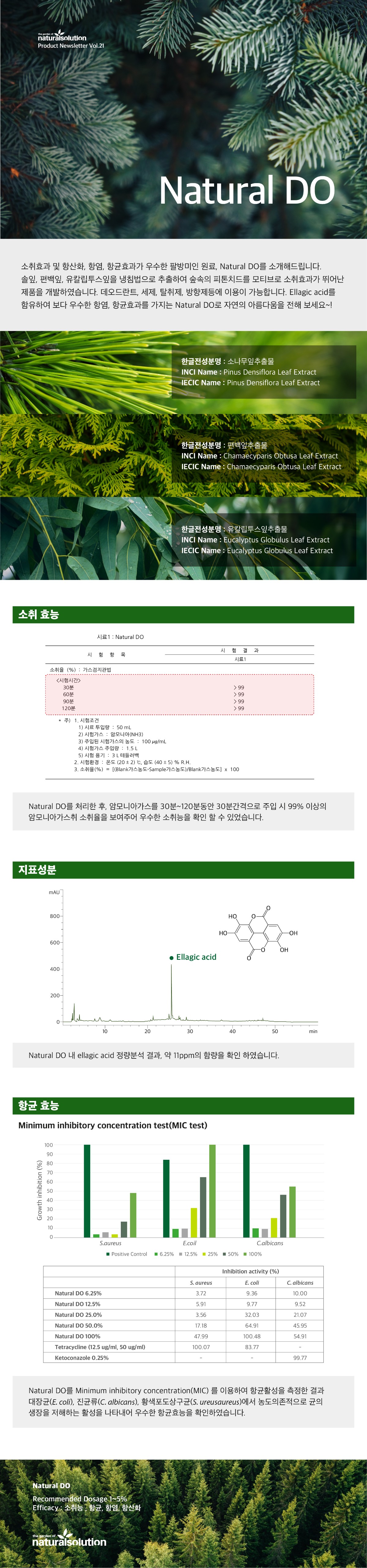 kor.jpg